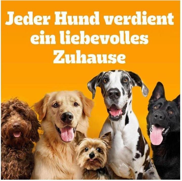 Immagine prodotto Pedigree PED DENTA LIGHT klHun 7St (Adulto, 7 pz., 58 g)