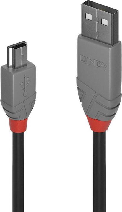 Image du produit Lindy USB/A-MiniB M-M (1 m, USB 2.0)