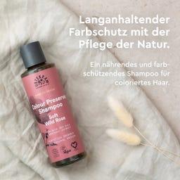 Actual product image Urtekram Shampoo Soft Wild Rose 500 ml (Liquid shampoo, 500 ml)