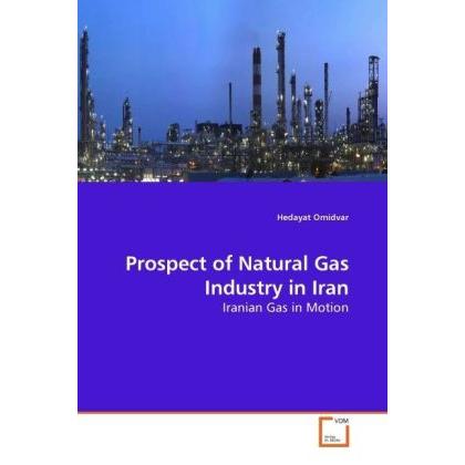 Prospect of Natural Gas Industry in Iran, Fachbücher von Hedayat Omidvar