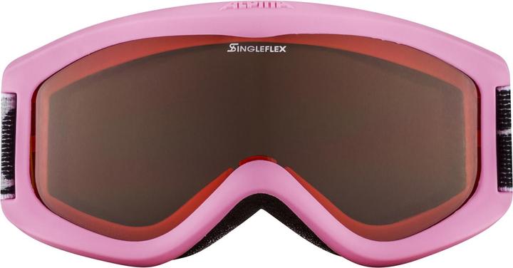Produktbild ALPINA SPORTS Carvy 2.0