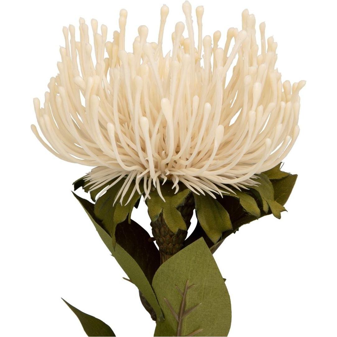 Thumbnail - present time, Kunstpflanzen, Protea Flower Large (57.20 cm)