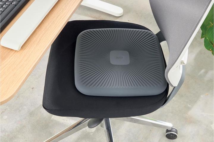 Immagine prodotto Leitz Ergo (36 x 36 cm)