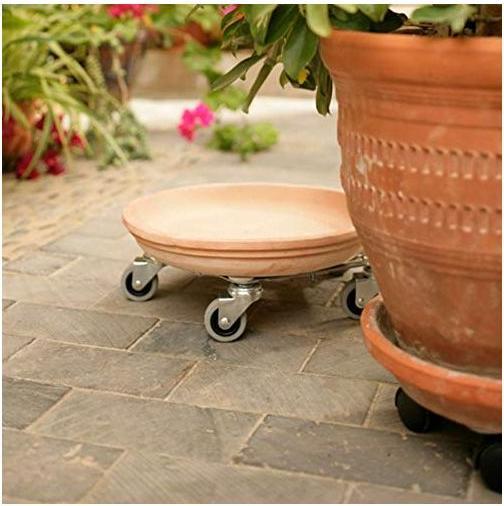 Produktbild Flora Vario Pflanzroller