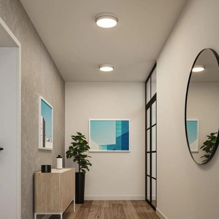 Actual product image Paulmann Malik ceiling light (1320 lm)