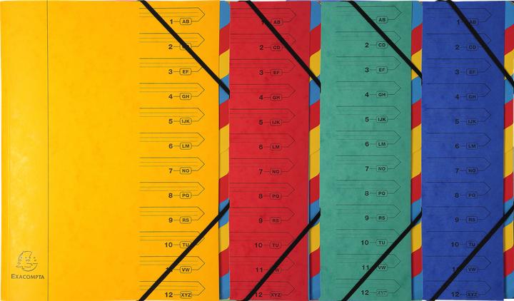 Actual product image Exacompta Stapled file folders (A4, 1 x)