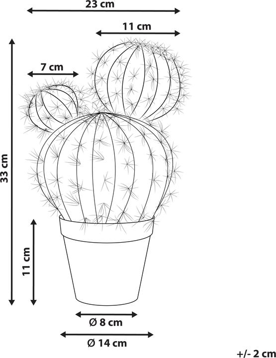 Actual product image Beliani Ball Cactus (33 cm)