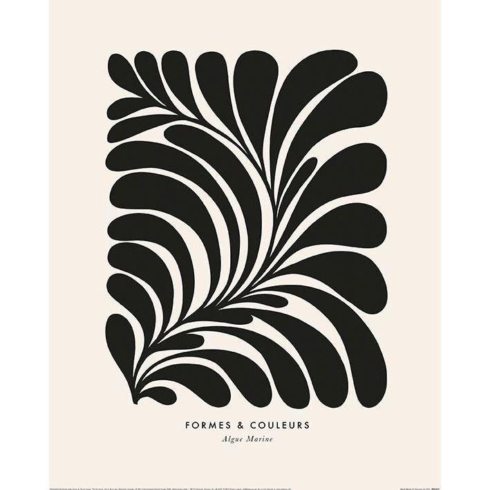 Image du produit Dominique Vari - Imprimé ALGUE MARINE