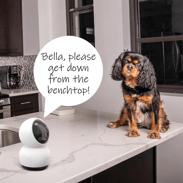 Image du produit Swann EVO Pan & Tilt WiFi Caméra de surveillance orientable (2560 x 1440 Pixels)