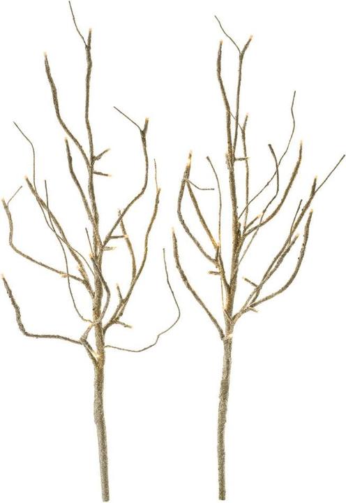 Image du produit STT Branche LED