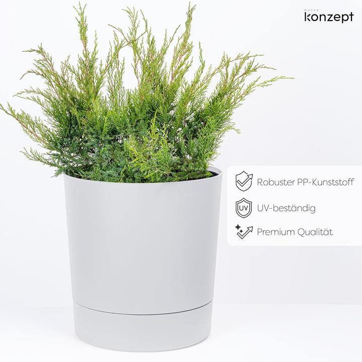 Produktbild Konzept Grosser Blumentopf mit Untersetzer