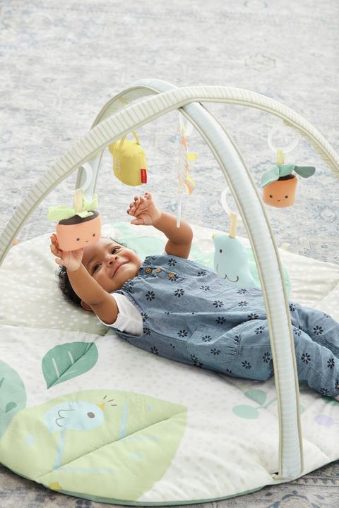 Actual product image Skiphop Garden Oasis Play Arch