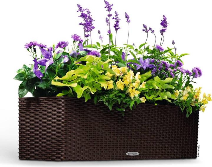 Actual product image Lechuza Balconera Cottage (19 cm)