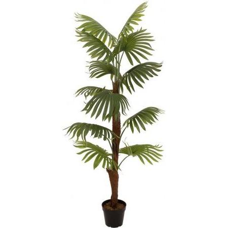 Europalms, Pianta artificiale, Palma a ventaglio, pianta artificiale, 155 cm
