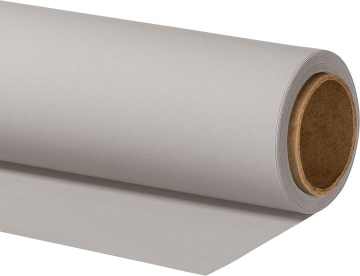 Walimex pro Hintergrundkarton 2,60x10m light grey Fotohintergrund Backdrop Fotostudio (260 cm)