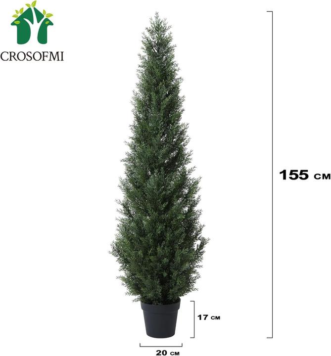 Produktbild Crosofmi 2er-Set Zedernbaum (155 cm)