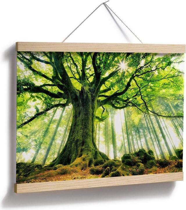 Actual product image Trenddeko Kiciak - Fairy tale forest (30 x 24 cm)