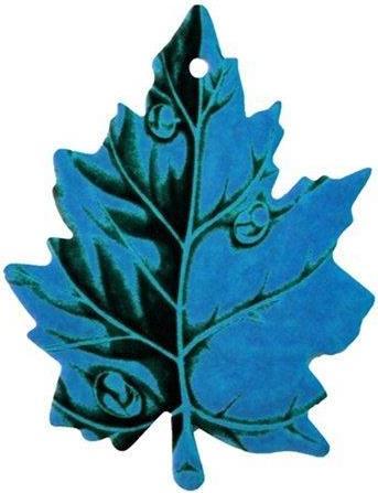 Actual product image No Name CAR AIR FRSH OCEAN APO0-0333