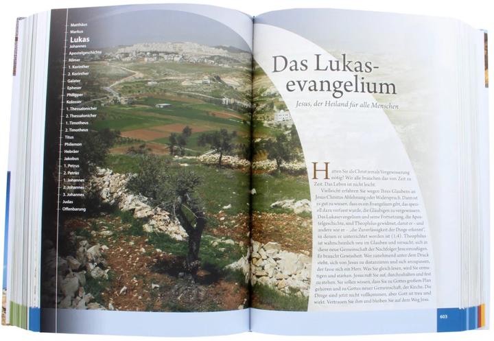 Produktbild Das illustrierte Handbuch zur Bibel (Deutsch, J. Daniel Hays, J. Scott Duvall, 2014)