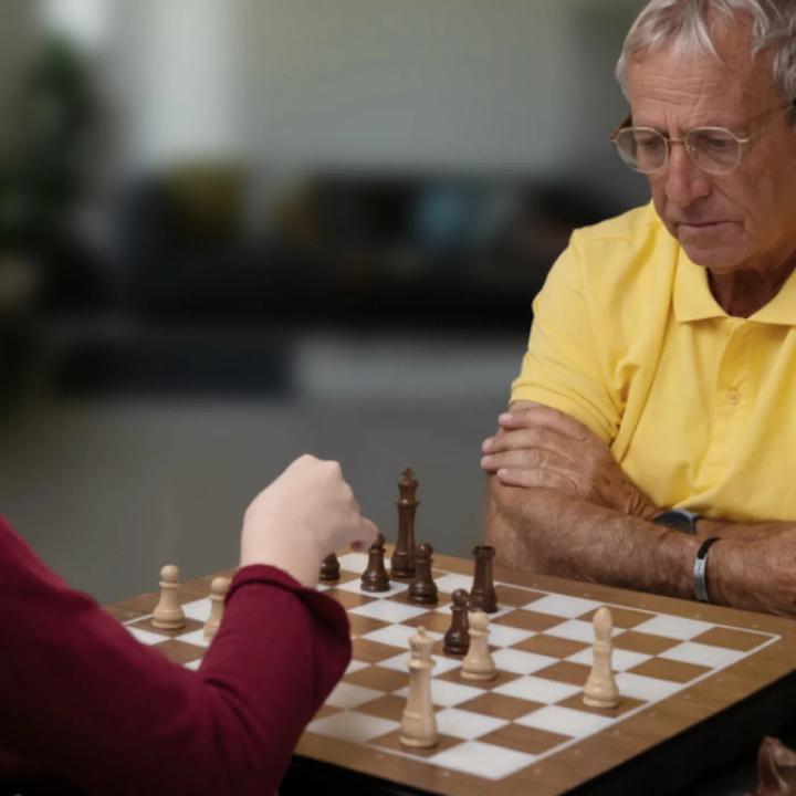 Actual product image Particula GoChess Lite Classic