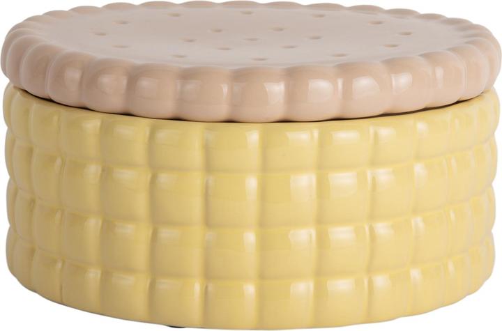 Actual product image present time Storage Jar Biscuit Box Large (4.85 l)