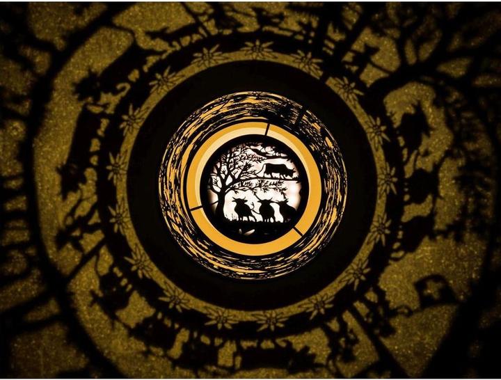 Actual product image STT Nova swissness, 23