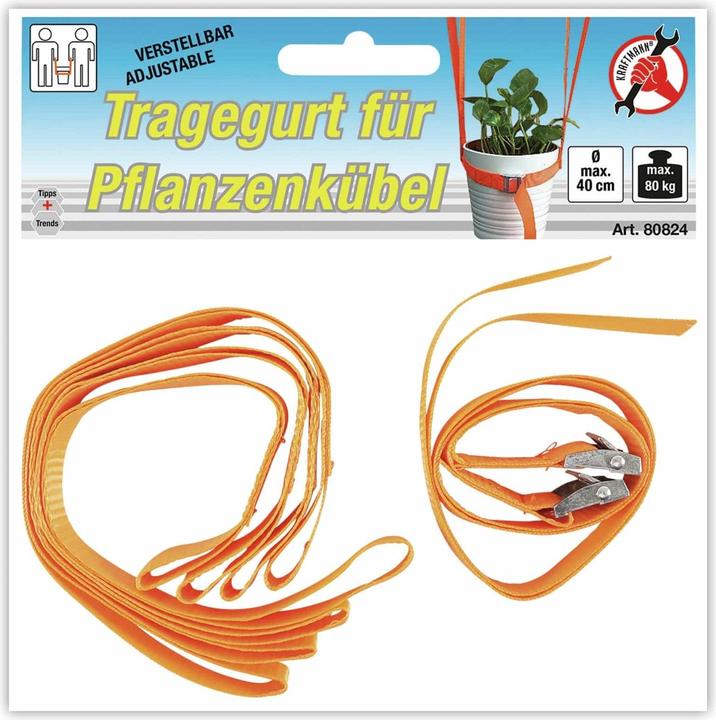 Actual product image BGS Carrying strap