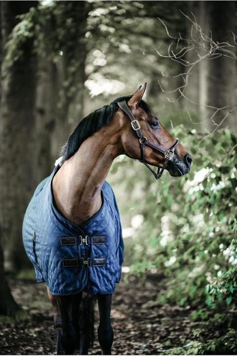 Produktbild Kentucky Horsewear Stalldecke 0g (140 cm)