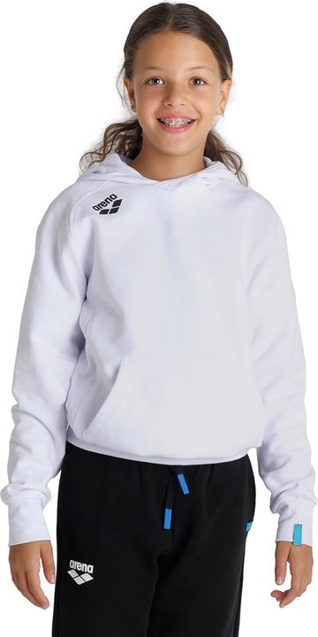 Actual product image Arena Jr Team Hooded Sweat Panel (152)