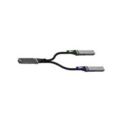 NVIDIA Pass copp spl Cbl IB twin port NDR, Netzwerkkarte