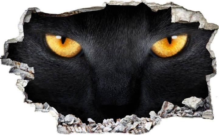 Actual product image Trenddeko 3D cat eyes (36 x 60 cm)