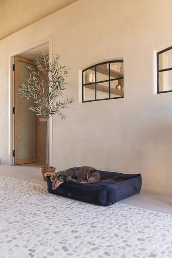 Immagine prodotto Designed by Lotte A coste (Cane)