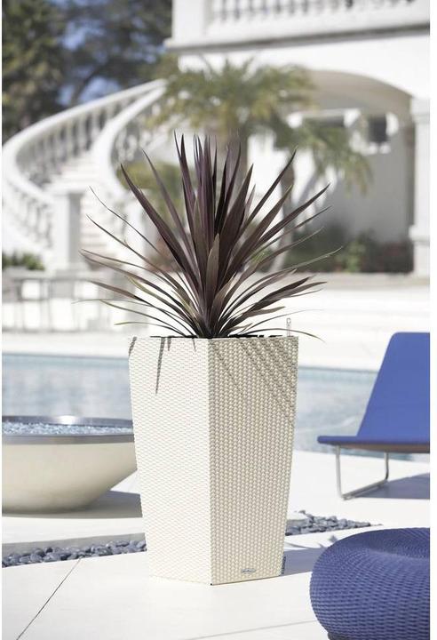 Immagine prodotto Lechuza Cubico Cottage (29.50 cm)