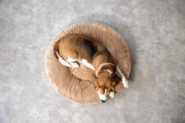 Actual product image Palopa Dog Bed Donut (Dog)
