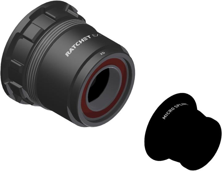 DT Swiss Ratchet EXP, CL - buy at Galaxus