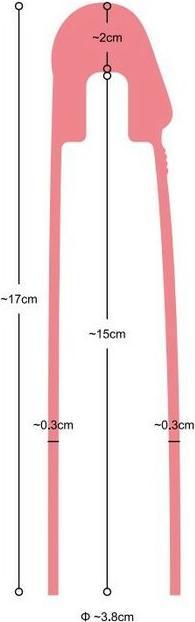 Image du produit Virgite Manchon réaliste 19.5 cm