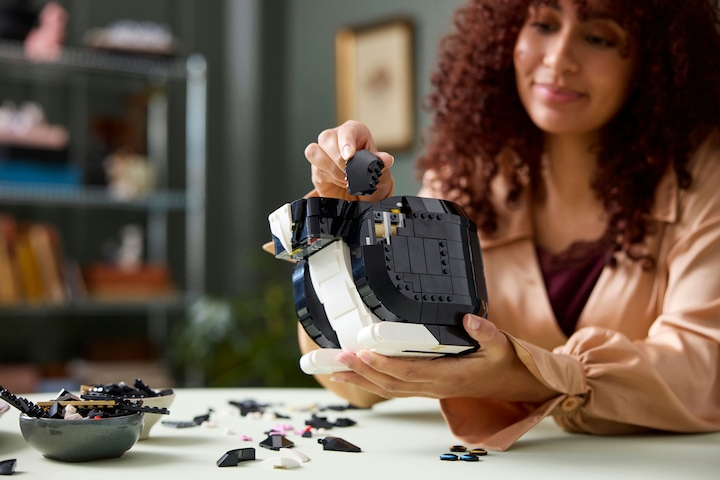 Produktbild LEGO Schwarz-weisse Katze (21349, LEGO Ideas, LEGO Seltene Sets)