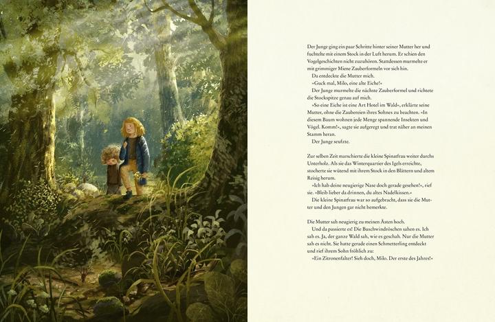 Actual product image Als der Wald erwachte (Emma Karinsdotter, Martin Widmark, German)