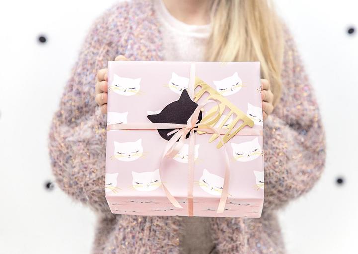 Image du produit Partydeco Papier cadeau chat 70 x 200 cm, 2 pièces, rose/blanc (Papier cadeau, 2 x)