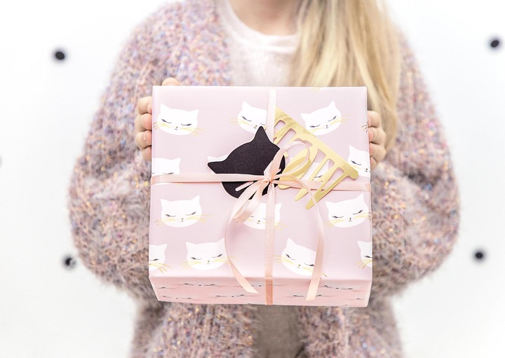 Actual product image Partydeco Gift Wrapping Paper Cat Pink (Wrapping paper, 2 x)