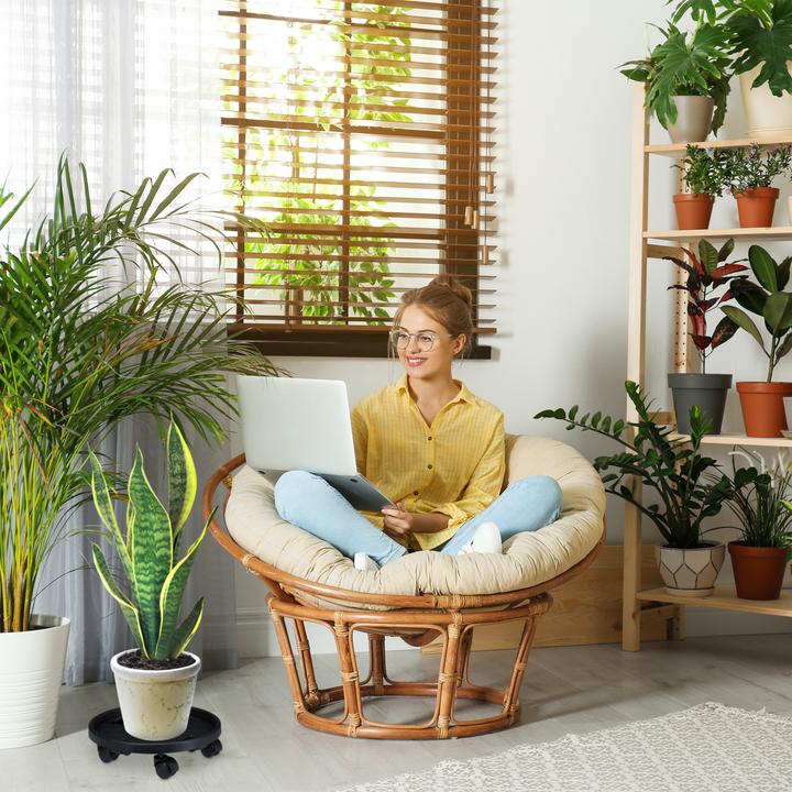 Produktbild Relaxdays Pflanzenroller