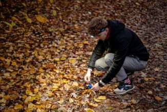 Image du produit Newell HL1000COB USB-C-Stirnlampe (1000 lm)