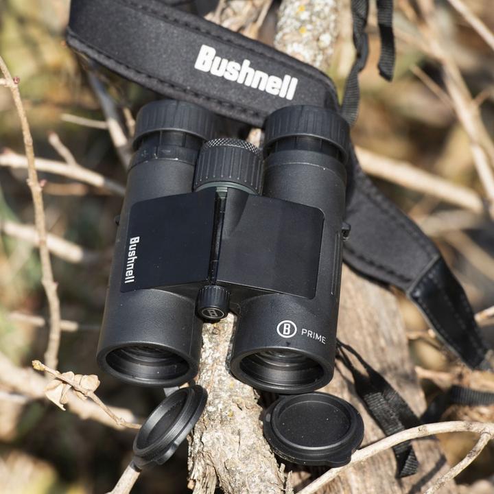 Image du produit Bushnell Jumelles 8X42 Prime black Roof Prism MC (8 x, 42 mm)
