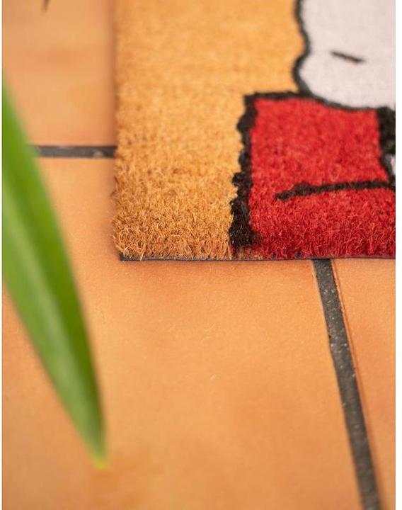 Image du produit Erik Snoopy - Dormir sur le toit (60 x 40 cm)
