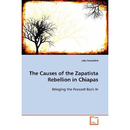 The Causes of the Zapatista Rebellion in Chiapas, Fachbücher von Jake Faleschini