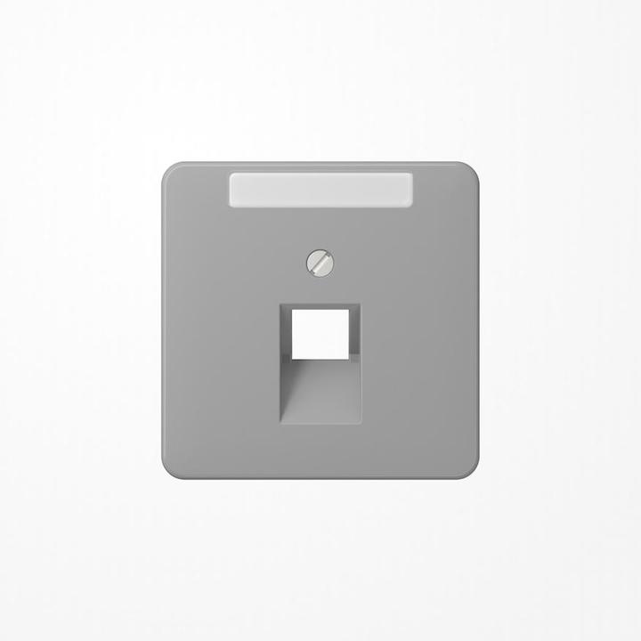 Actual product image JUNG Insert UAE/IAE 1f CD gr glz Schraubbef CD569-1NAUAGR