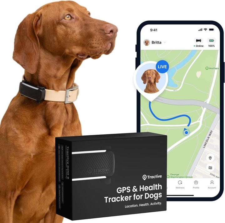 Produktbild Tractive GPS Tracker Dog 6 (Hund, Spazieren)