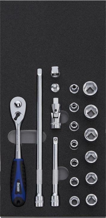 Produktbild Forum Professional Solutions Modul 2017 1/3 Umschaltknarre 3/8" 19 Teile