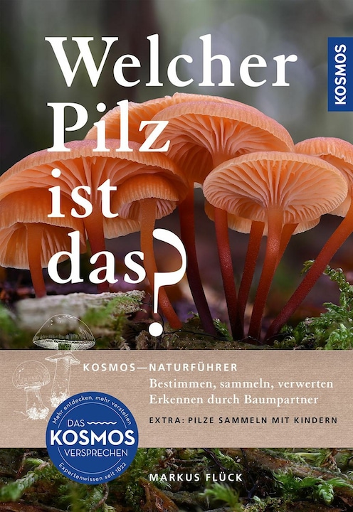 Produktbild Kosmos Welcher Pilz ist das? (Deutsch, Markus Flück, 2024)