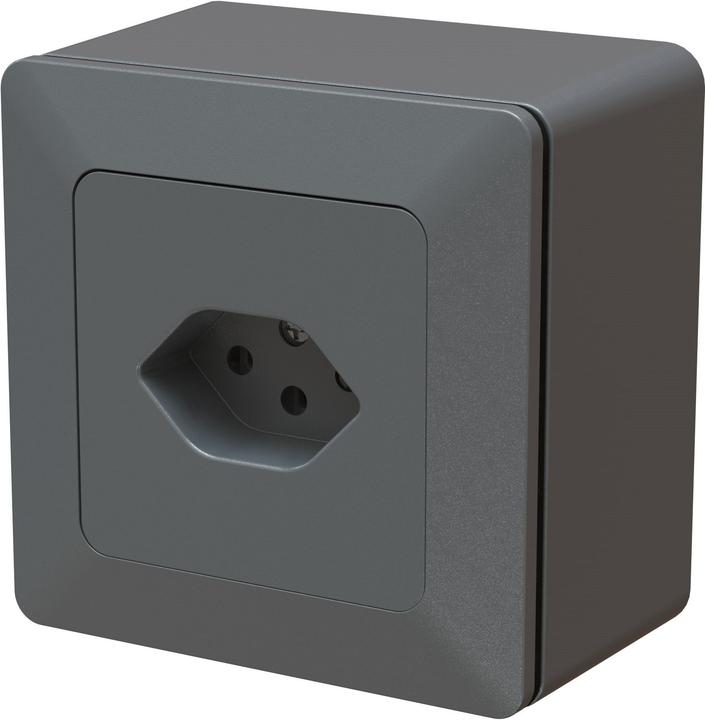 Produktbild Max Hauri priamos